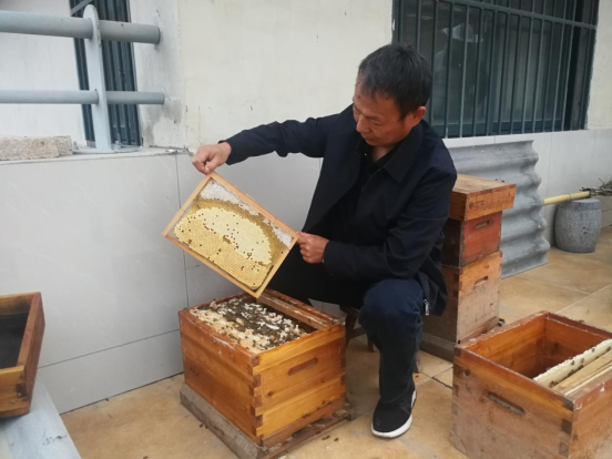 太阳城娱乐城
