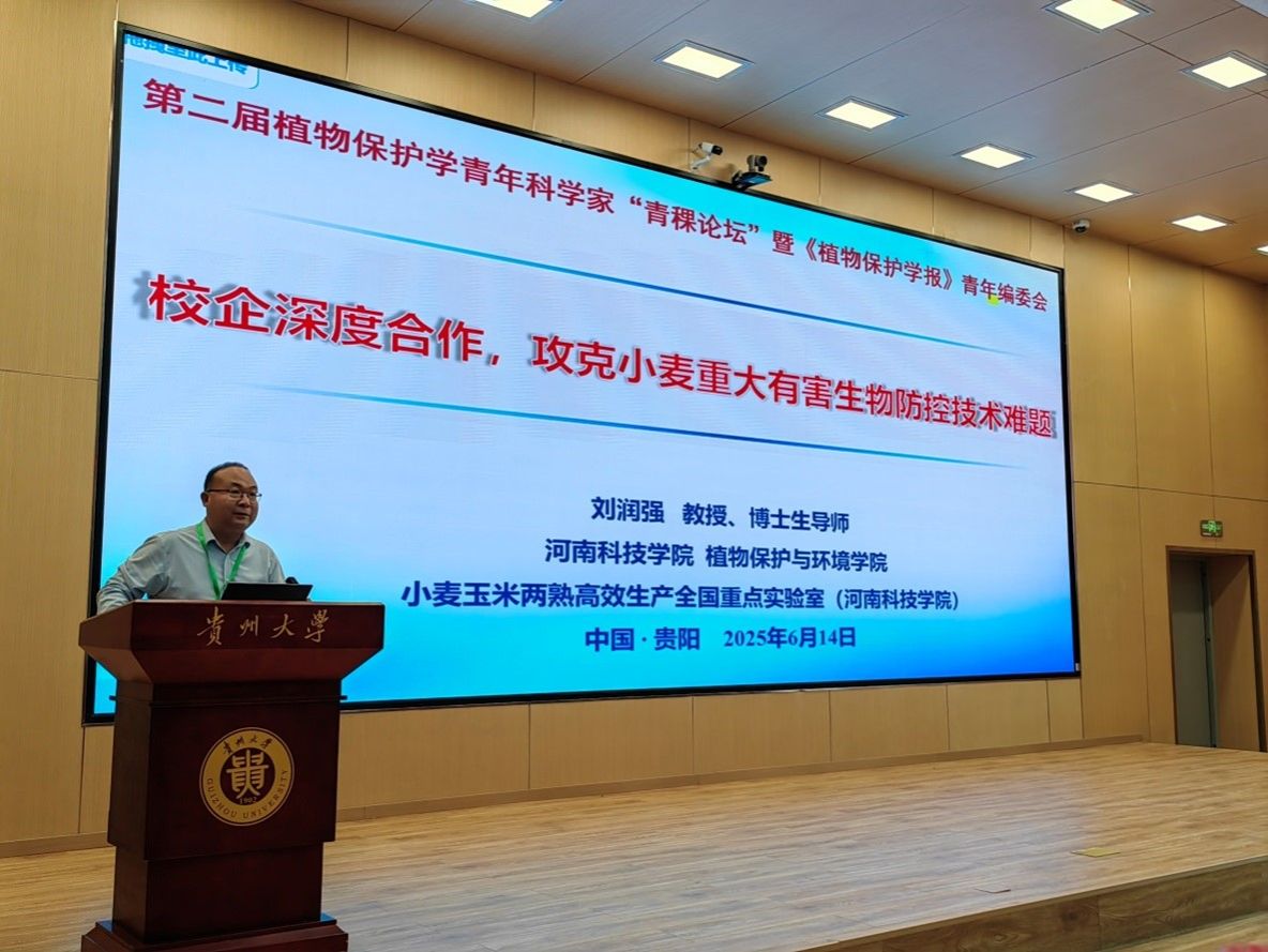 太阳城娱乐城